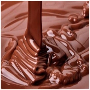 mayorista de chocolate