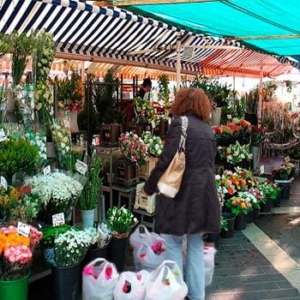 mayorista de Flores