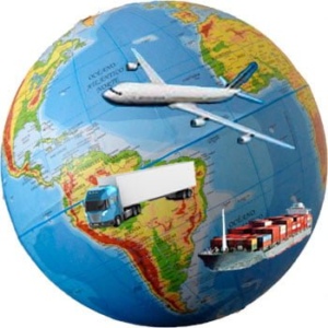 mayorista importador