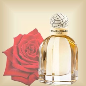 mayorista de perfumeria