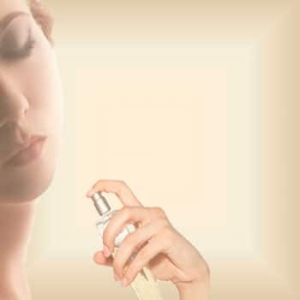 perfumes alternativos por mayor